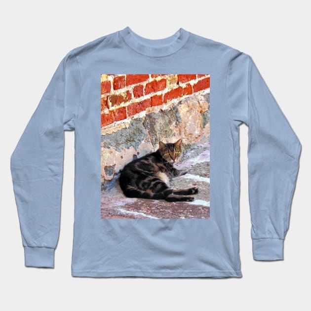 Cats - Cat Against Stone Long Sleeve T-Shirt by SusanSavad